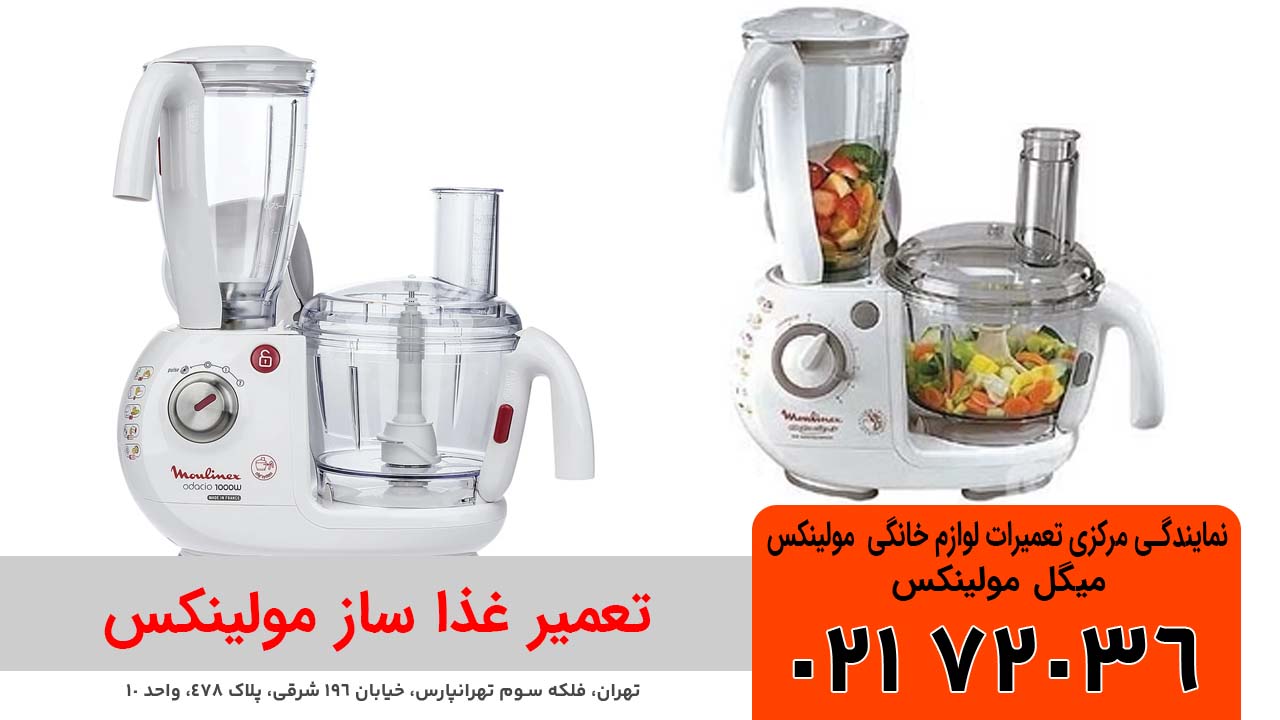 تعمیر غذاساز مولینکس